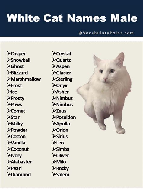 a white cat with the names of its name in front of it's image