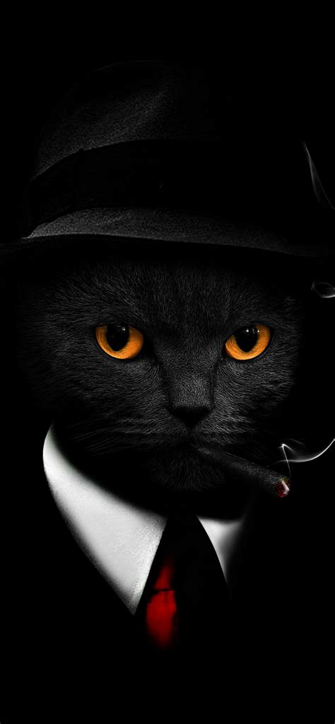 Black Cat Wallpaper 4K, Black background, Hat, Suit, Cigar, Scary ...