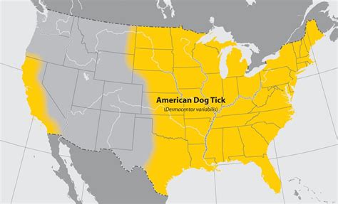 Geographic distribution of ticks that bite humans | Ticks | CDC