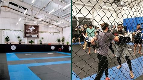 6 Best MMA Gyms in London Near You (Map): Train Like a Pro