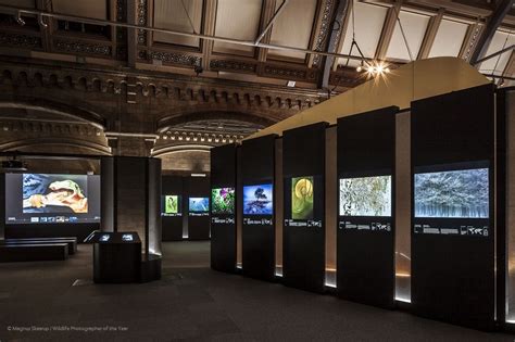 The acclaimed Wildlife Photographer of the Year exhibition premieres at ...