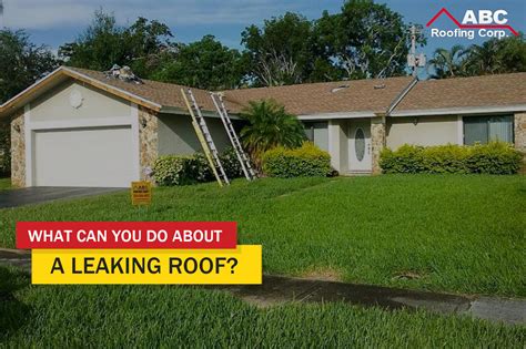 Do You Know What To Do In Case Of A Leaking Roof?