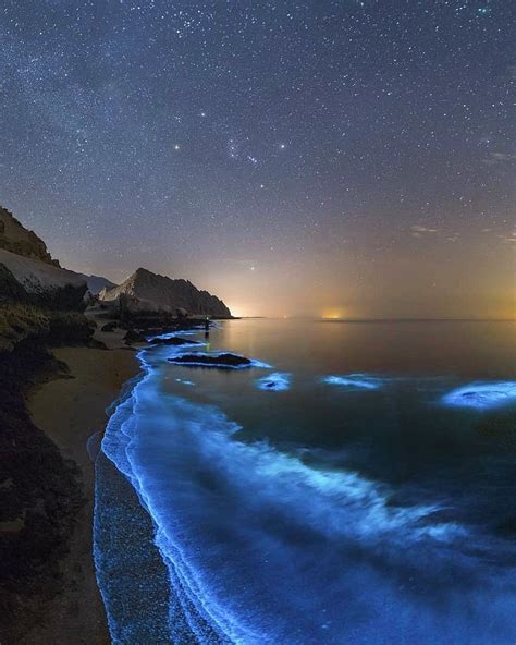 Bioluminescence | Ocean at night, Ocean photography, Night sky photography