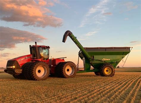 Canola crops looking up as Manitoba’s farmers near harvest finish line - Winnipeg | Globalnews.ca