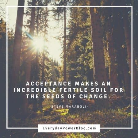 50 Wise Quotes on Acceptance of Self and Others