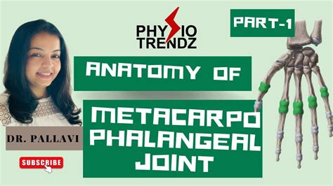 Metacarpophalangeal Joint Anatomy Explained By Dr. Pallavi /Physiotrendz - YouTube