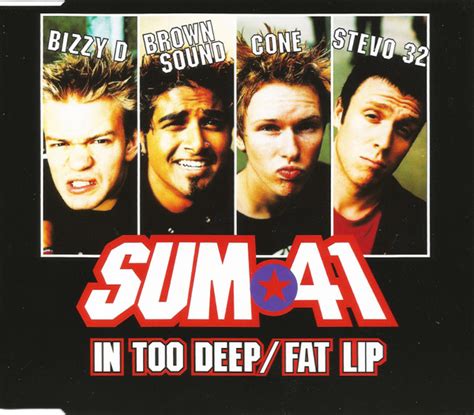 Sum 41 - In Too Deep / Fat Lip (2001, CD) | Discogs