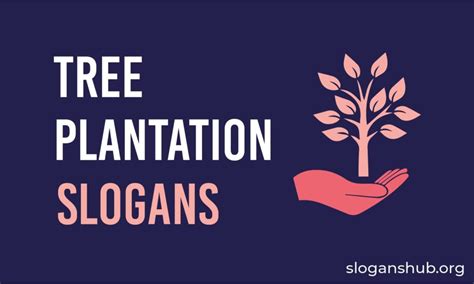 320 Catchy Tree Plantation Slogans for Campaign & Plants Slogans