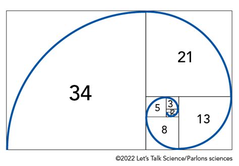 Fibonacci and Golden Ratio | Let's Talk Science