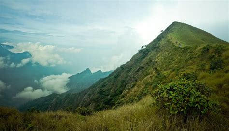 7 Best Places For Trekking in Munnar - SpiceTree Munnar