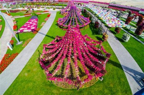 World Rare Collection: Dubai Flower Show