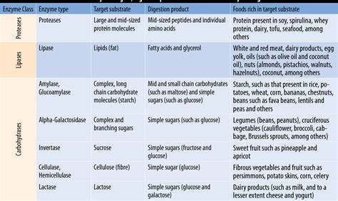 Table 2 from The Breakdown on Digestive Enzymes | Semantic Scholar