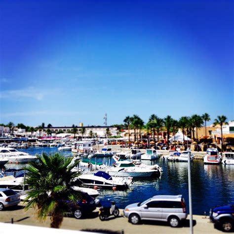 a marina filled with lots of boats and palm trees on the side of the water