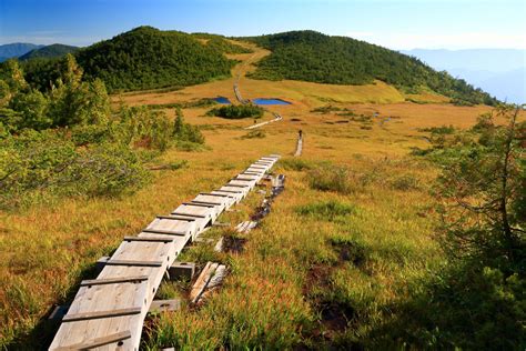 Explore Oze National Park | National Parks of Japan