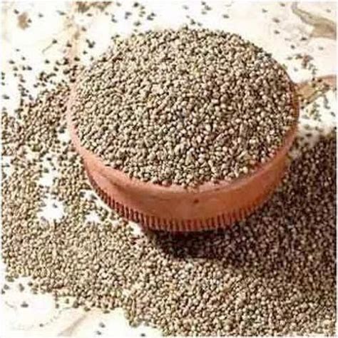 Food Grains - Hybrid Bajra Seed Manufacturer from Mumbai