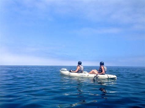 Why You Should Kayak La Jolla with Everyday California | Lajolla.com