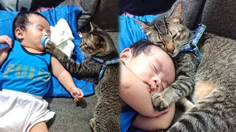 Adorable Cat Who Cares For Sleeping Newborn Baby Goes Viral - YouTube