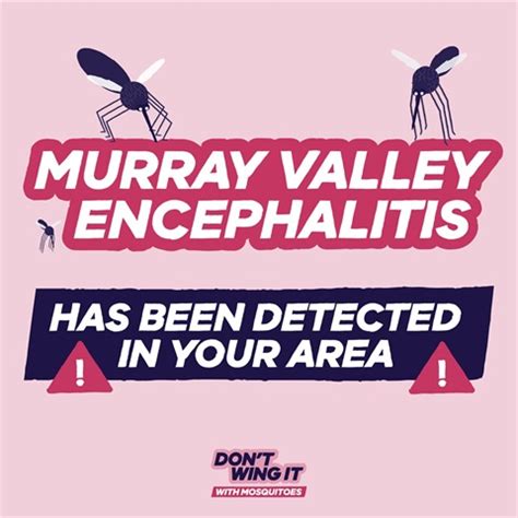 Protect yourself from Murray Valley encephalitis virus | The National ...