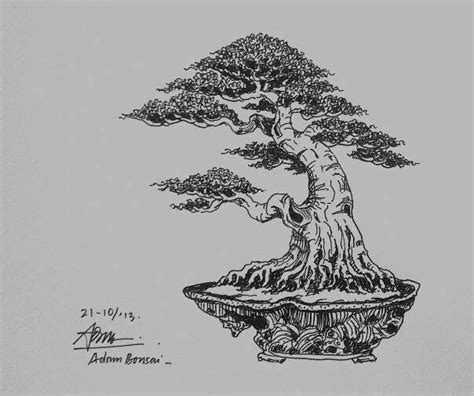 Nhật ký nghệ thuật Bonsai