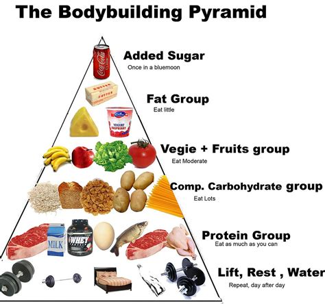 Alimentazione body building