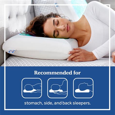 Sealy Essentials Cooling Gel Memory Foam Pillow, 2 Pack | Wayfair