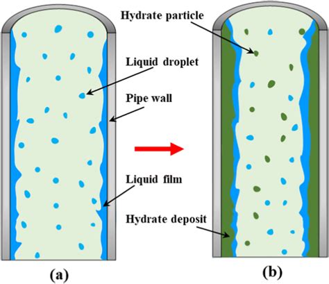 Schematic diagram of hydrate formation and deposition in... | Download Scientific Diagram