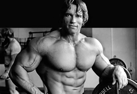 Download Arnold Schwarzenegger Wallpaper