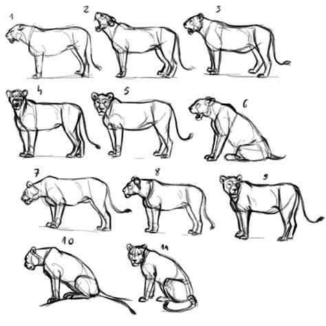 100 Poses Challenge: Lionesses – Monika Zagrobelna