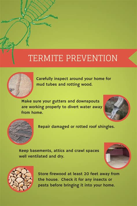 Some Termite Prevention Tips... Bug Control, Insect Control, Termite Pest Control, Wood Termites ...