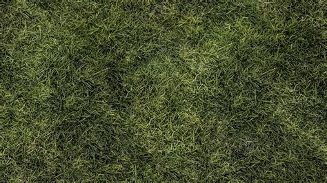 ArtStation - Pack of 30 Grass Seamless Textures in 4K | Resources