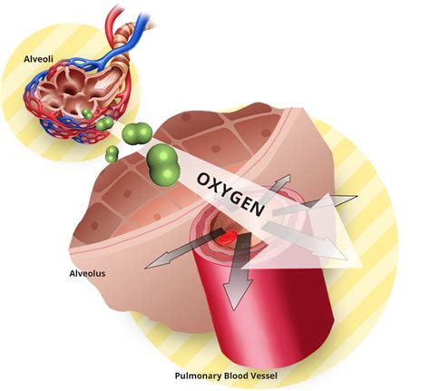 Supplemental Oxygen Therapy | Oxygen Is A Drug