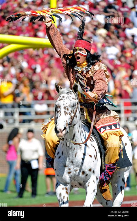 Florida state university mascot hi-res stock photography and images - Alamy