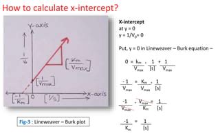 Lineweaver - Burk plot.pptx