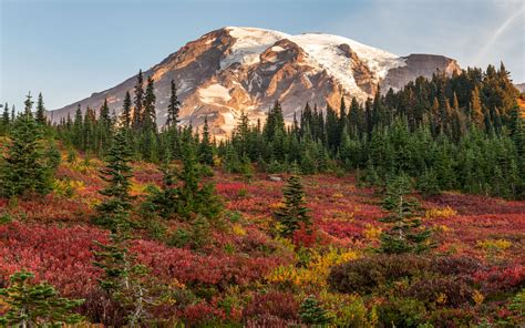 Mount Rainier - Paradise Fall Meadows | Paradise Visitor Area, Mount Rainier National Park ...