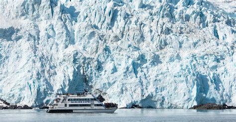 Alaska Glacier Tours, Whale Watching, Veiw Glaciers and Wildlife.