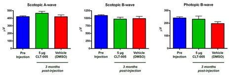 Electroretinography - EyeCRO.com