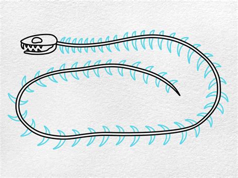 Easy Snake Skeleton Drawing - HelloArtsy