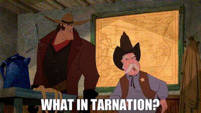 YARN | What in tarnation? | Home on the Range | Video gifs by quotes | a784ff46 | 紗