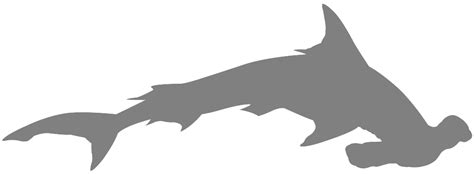 Hammerhead Shark Silhouette | Free vector silhouettes
