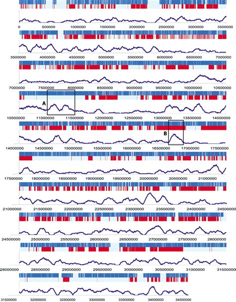 The transcriptional activity of human Chromosome 22