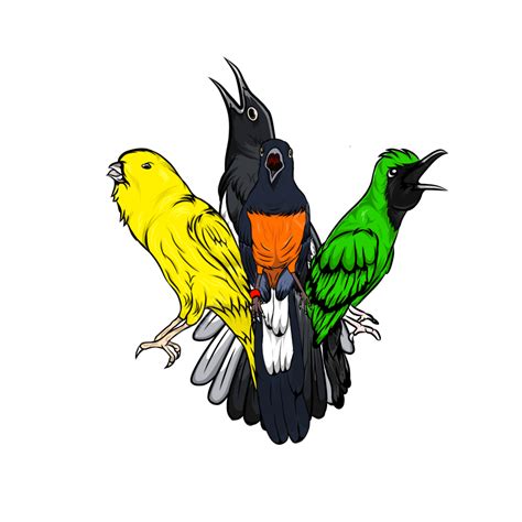 Vector Bird Magpie Cucak Green Canary And Pleci, Magpie, Bird Vector ...