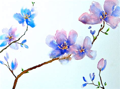 Dogwood Watercolor at PaintingValley.com | Explore collection of ...