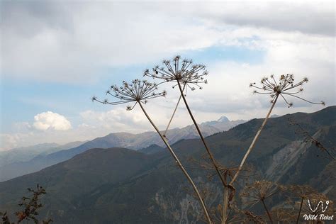 Aksai river. » WildTicket Asia - Tourist Service in Kazakhstan