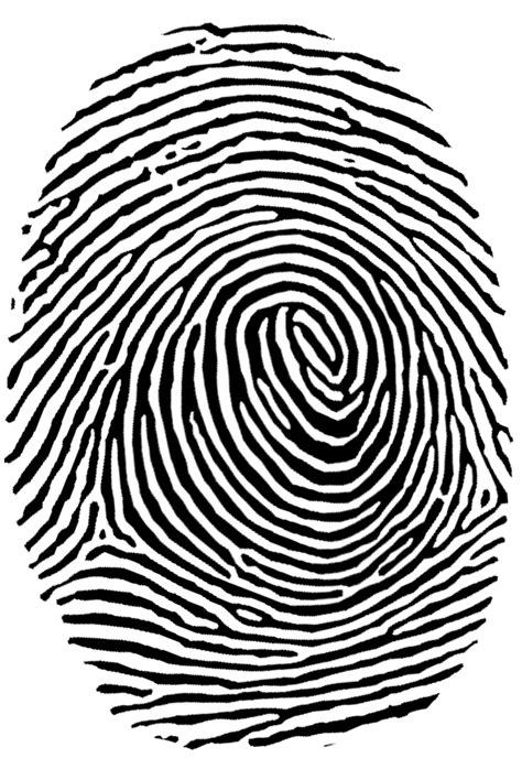 Fingerprint PNG