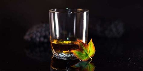 10 Best Types Of Whiskey Glasses To Use