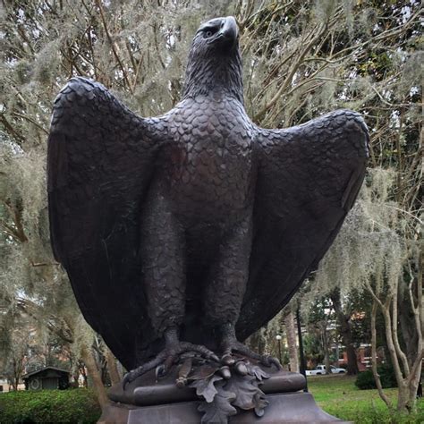 Outdoor Popular Standing Bronze Bald Eagle Statue for Sale