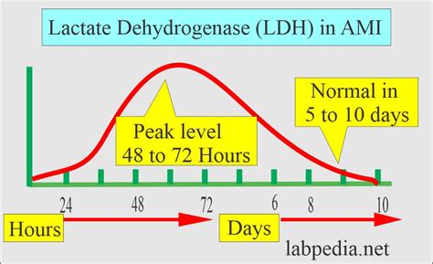 Lactate Dehydrogenase (LDH), Isoenzymes Of LDH, 56% OFF