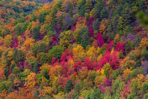 Skyline Drive Fall Foliage in Shenandoah National Park - Explore with Alec