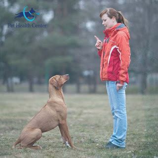 Dog Obedience Training Principles ~ Pet Health Center