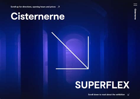 Cisternerne | Art Exhibitions | Subterranean Water Reservoir